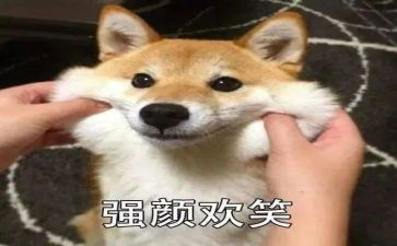 难忘的笑作文500字参考6篇