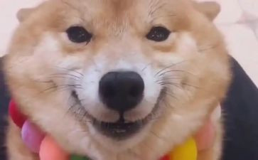 微笑——作文精选7篇