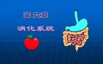 消化内科心得体会5篇