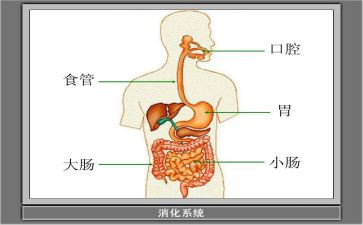 消化内科出科自我鉴定5篇