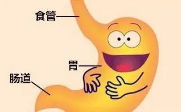 消化科实习的自我鉴定6篇