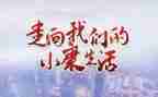 2024年我的小康梦作文推荐5篇