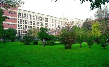 校内实习的实习心得8篇