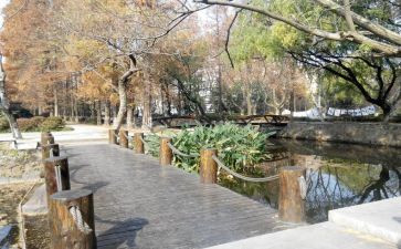 学校内实习报告5篇