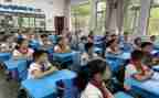 2024小学调查报告精选8篇