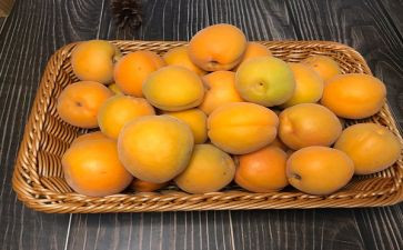 银杏叶的作文6篇