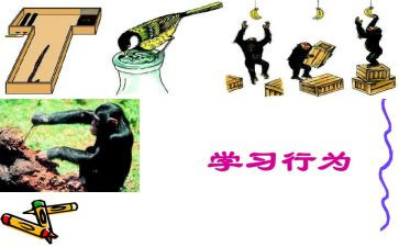 中学行为规范与守则心得体会5篇