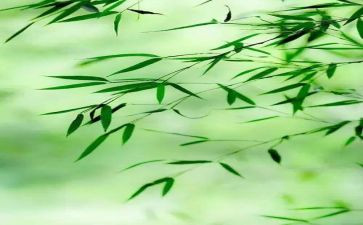 关于心境的作文7篇