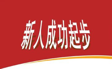 入职新人年度总结7篇