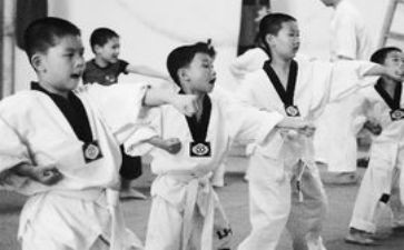 学习武术棍心得体会7篇