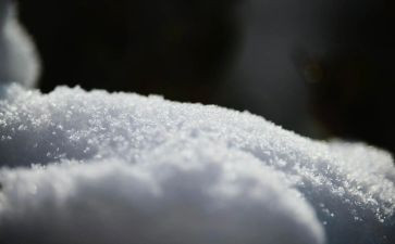 雪的作文不少于400字8篇