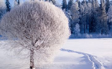 春天里的雪作文400字5篇
