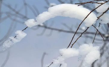 关于雪的活动教案精选8篇