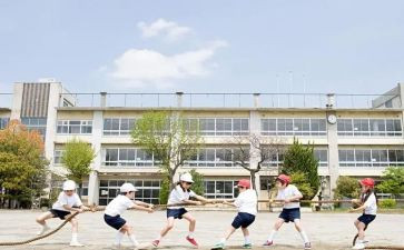 体育学生年度总结8篇