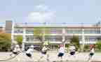 有关大学生调查报告5篇