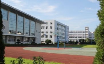学校听课活动方案7篇