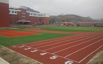 去学校实习的实习报告模板5篇