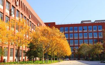 学校年度工作个人总结推荐6篇