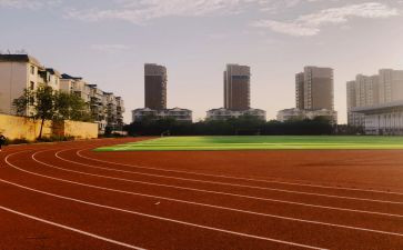 学校体育工作计划2024年度工作计划8篇