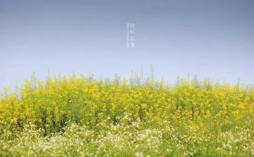 水叙事作文5篇