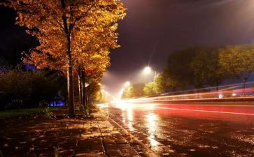 夜大学自我鉴定6篇
