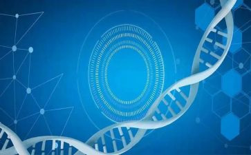 医学生实习总结范文最新7篇