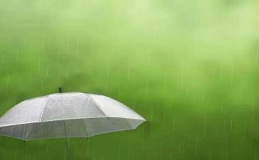 六月的雨作文8篇