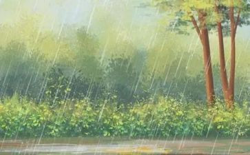 狼的孩子雨和雪读后感参考6篇