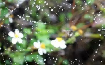 秋天的雨,读后感精选5篇