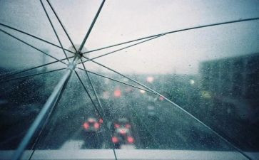 观雨读后感通用8篇