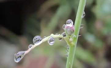 关于与雨的作文400字优质7篇