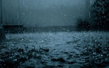 以雨为题的作文通用6篇