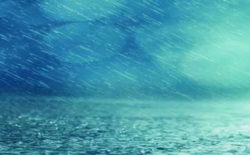 秋天的雨,读后感最新5篇