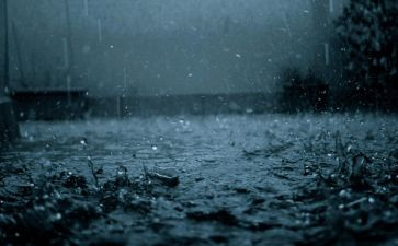 英雄雨来读后感600字8篇