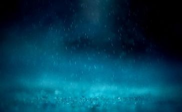 关于雨的读后感精选6篇