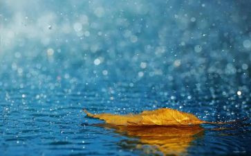 观雨读后感最新6篇