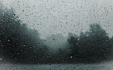 小英雄雨来读后感最新8篇