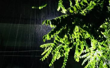 春天的雨作文加读后感8篇