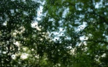 《大雨小雨》教案精选6篇