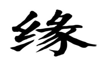 我与__的缘作文推荐6篇