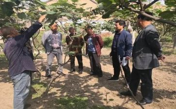 园艺站工作总结6篇