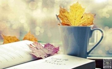 阅读的调查报告参考5篇