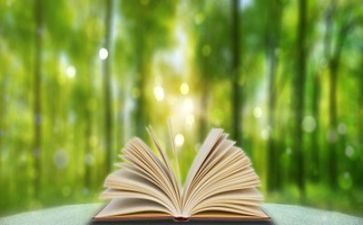 《阅读》作文500字6篇