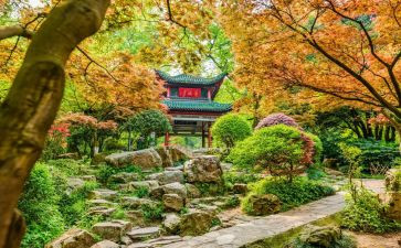 有岳麓山心得体会5篇