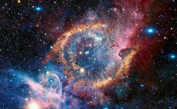 宇宙的生命之谜读后感5篇
