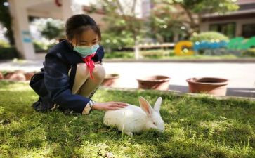 初中家长育子心得体会优质8篇