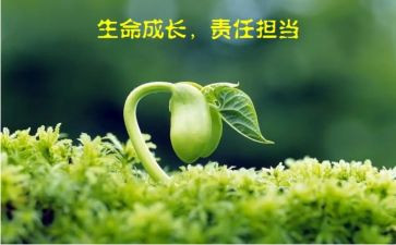 责任在我心中作文6篇