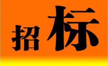 2024年招标工作总结参考8篇