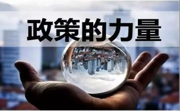 双减政策教师心得5篇