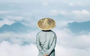大智慧的读后感推荐6篇